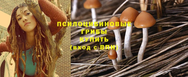 молекула духа Баксан