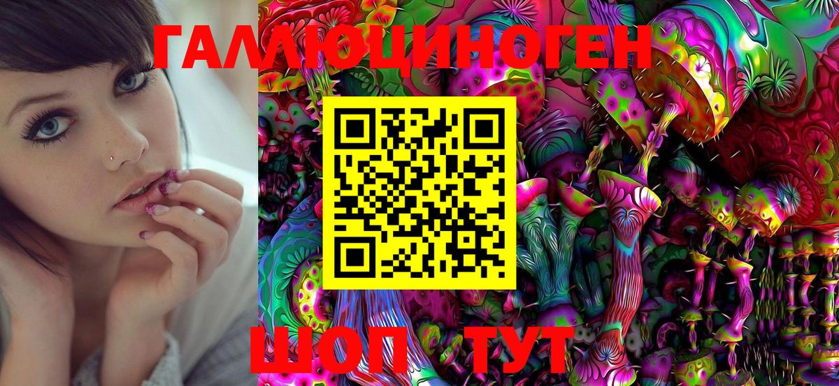 Псилоцибиновые грибы Psilocybine cubensis Белая Калитва